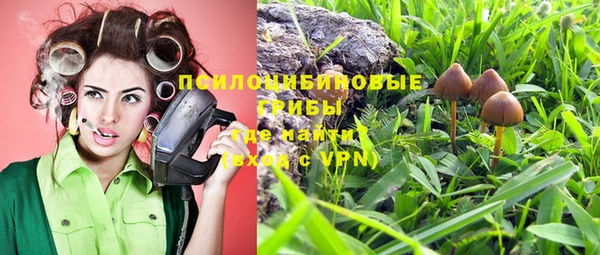 шишки Нея