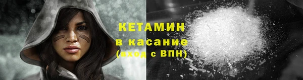 шишки Нея