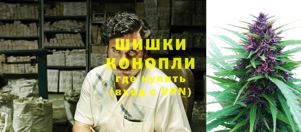 шишки Нея