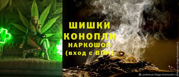 PSILOCYBIN Пересвет