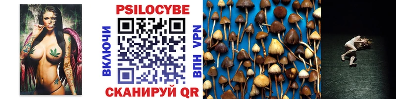 где продают   Малаховка  Галлюциногенные грибы Psilocybe 